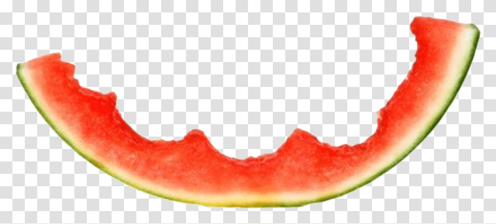 Pngs For Moodboards Pngs, Plant, Fruit, Food, Watermelon Transparent Png