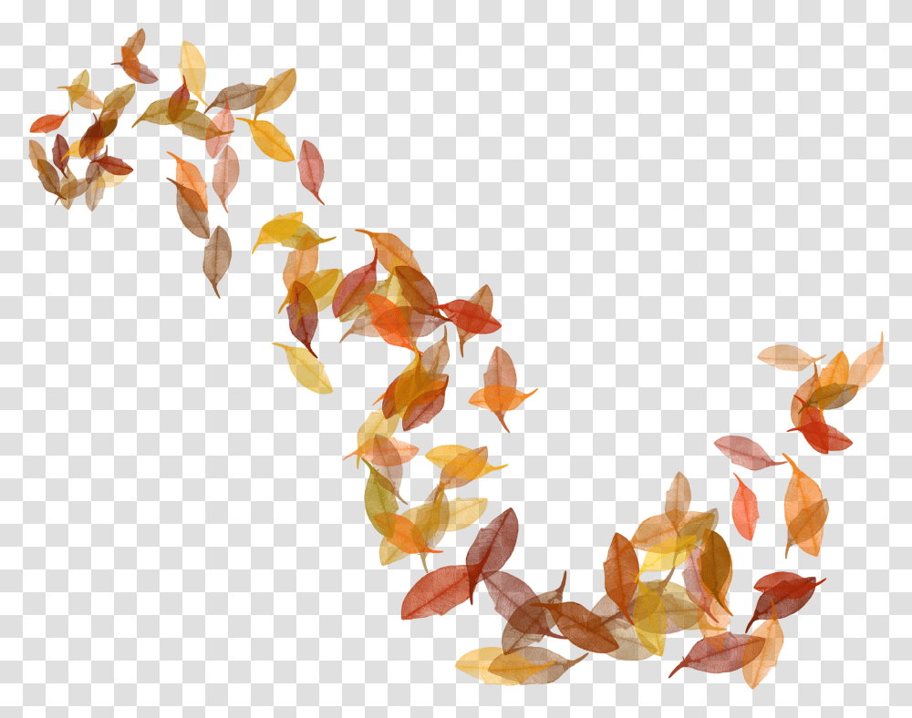 Pocahontas Leaves Fall Leaves Illustration, Leaf, Plant, Tree, Maple Leaf Transparent Png