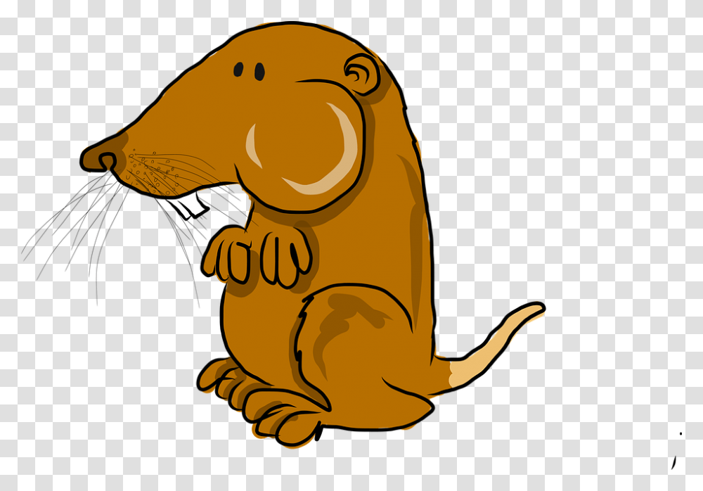 Pocket Gopher Mammal Cartoon Cartoon Gopher, Animal, Sea Life, Wildlife, Rodent Transparent Png