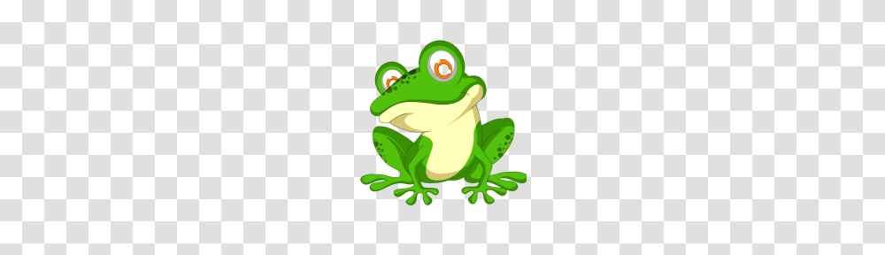 Pocket Pepe The Frog, Amphibian, Wildlife, Animal, Toy Transparent Png