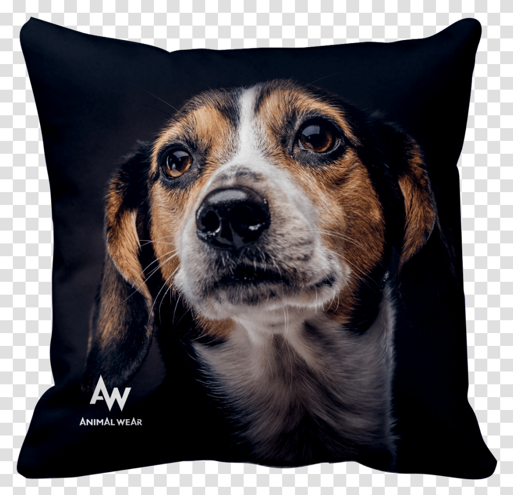 Poduszka Sad Eyes Cushion, Pillow, Dog, Pet, Canine Transparent Png
