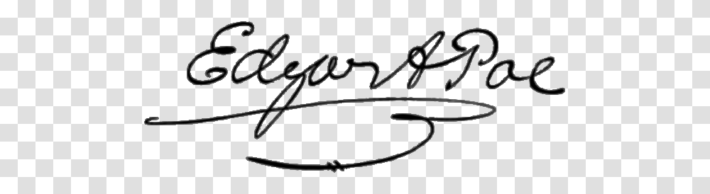 Poe Signature, Handwriting, Bow, Autograph Transparent Png