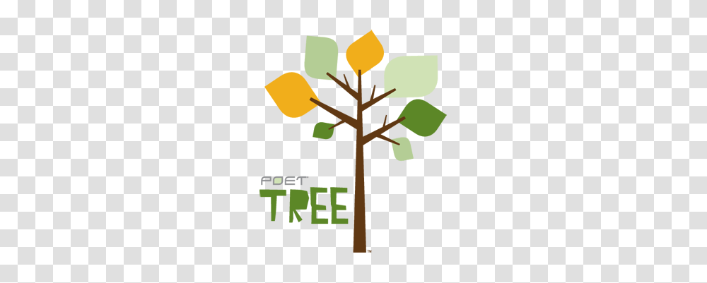 Poet Tree Writing Contest Winners Announced, Light, Flare, Torch, Poster Transparent Png