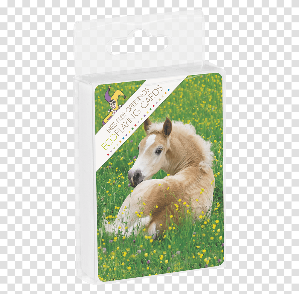 Poetry In Motion Nq Playing CardsTitle Cute Potros, Foal, Horse, Mammal, Animal Transparent Png