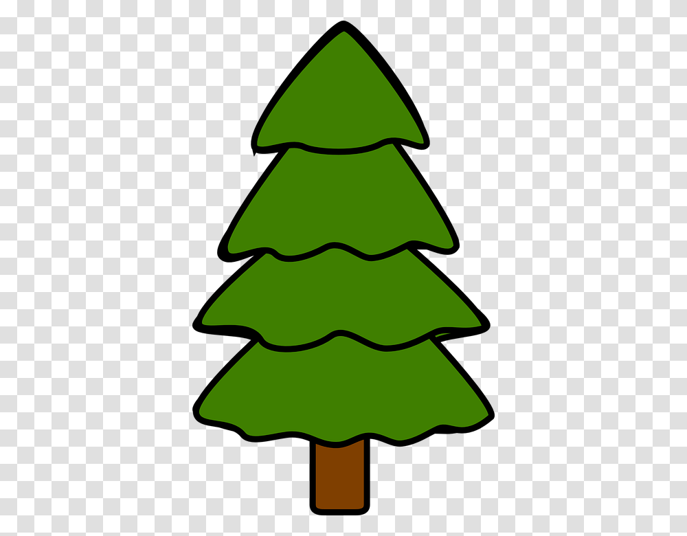 Pohon Pohon Cemara Pinus Cemara Alam Kayu Pine Tree Clipart, Plant, Leaf, Christmas Tree, Ornament Transparent Png