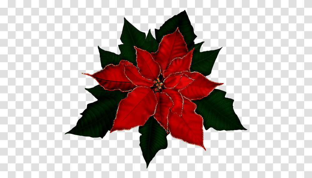 Poinsetta Clip Gold Free Clipart Poinsettia, Leaf, Plant, Pattern, Ornament Transparent Png