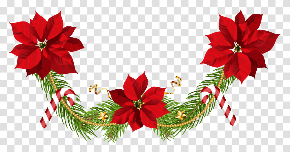 Poinsettia 1 Image Clip Art Poinsettia Christmas Transparent Png