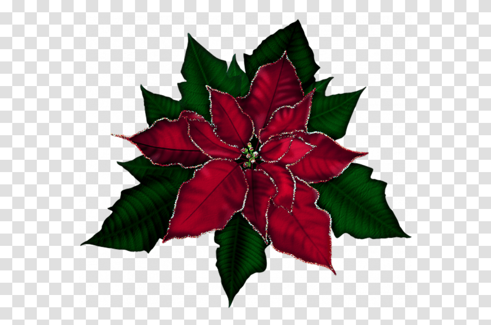 Poinsettia Christmas Christmas Flower, Ornament, Pattern, Leaf, Plant Transparent Png