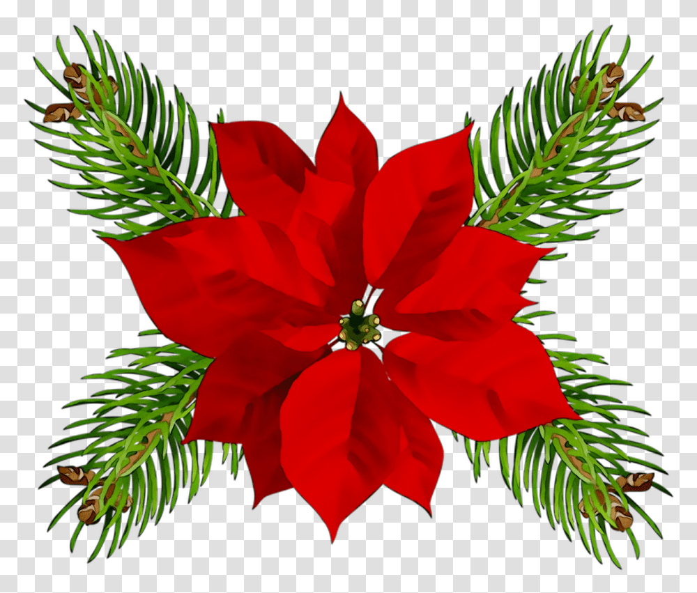 Poinsettia Christmas Day Christmas Ornament Portable Christmas Art, Plant, Tree, Flower, Conifer Transparent Png