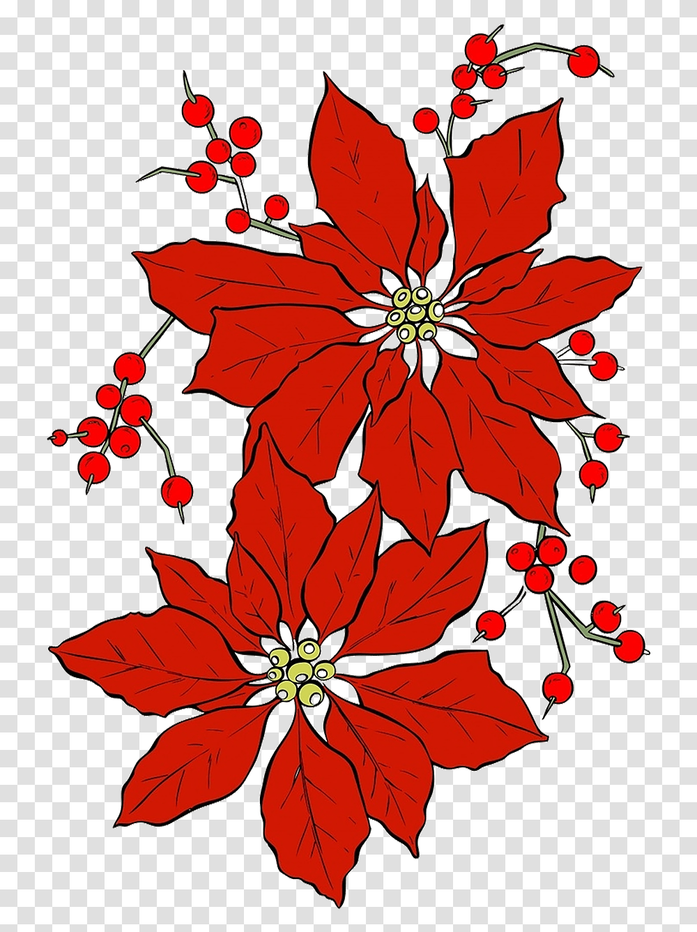 Poinsettia Christmas Red Flower, Leaf, Plant, Blossom, Tree Transparent Png