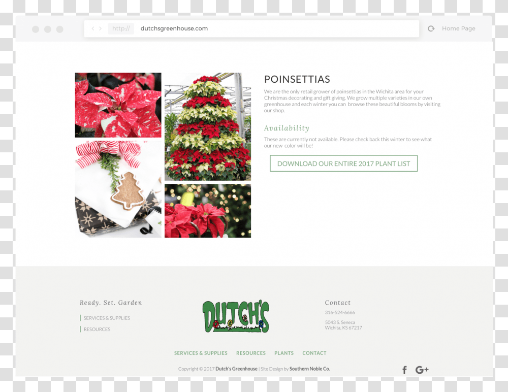 Poinsettia Christmas Tree, Plant, Ornament, File, Flyer Transparent Png