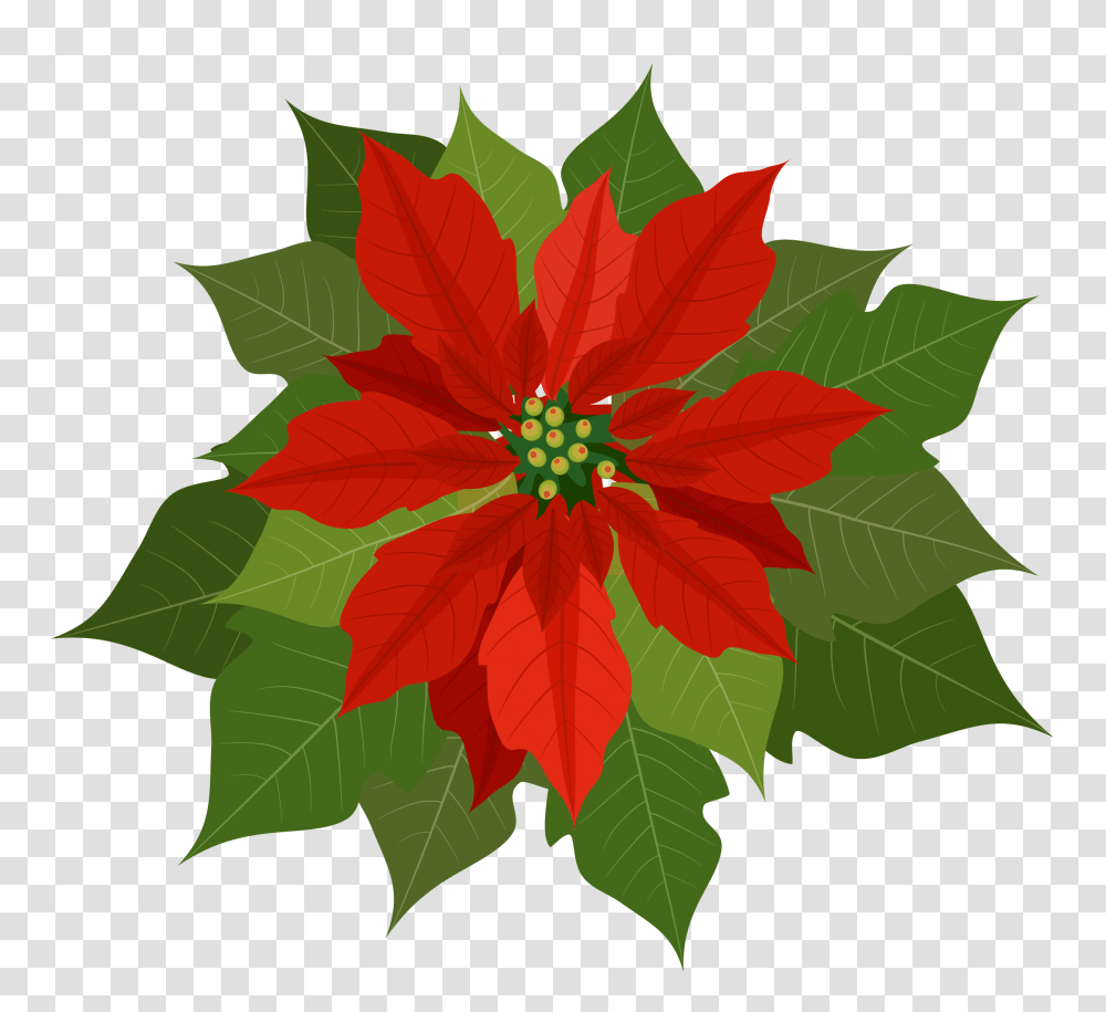 Poinsettia Clip Art, Leaf, Plant, Maple Leaf, Tree Transparent Png