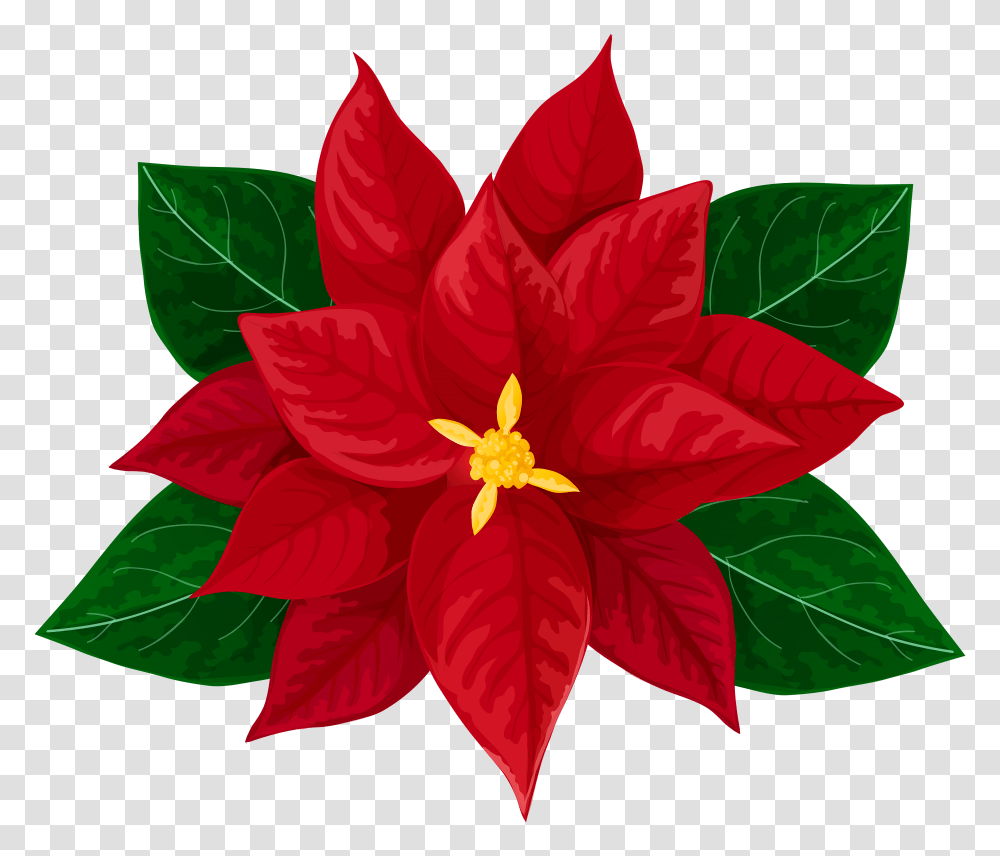 Poinsettia Clip Art, Plant, Leaf, Flower Transparent Png