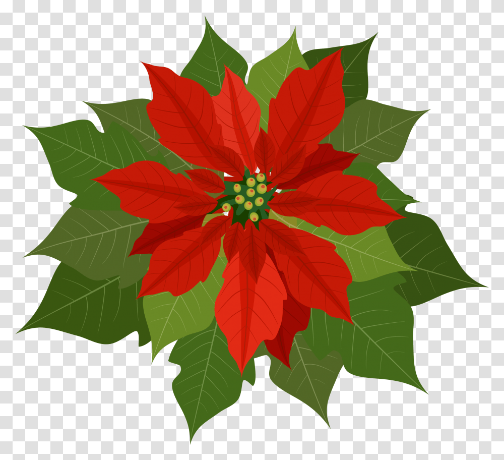 Poinsettia Clipart Background Poinsettia, Leaf, Plant, Maple Leaf, Tree Transparent Png