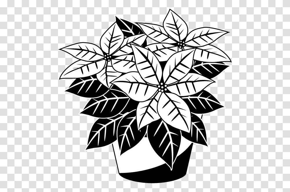 Poinsettia Clipart Black And White, Pattern, Floral Design, Stencil Transparent Png