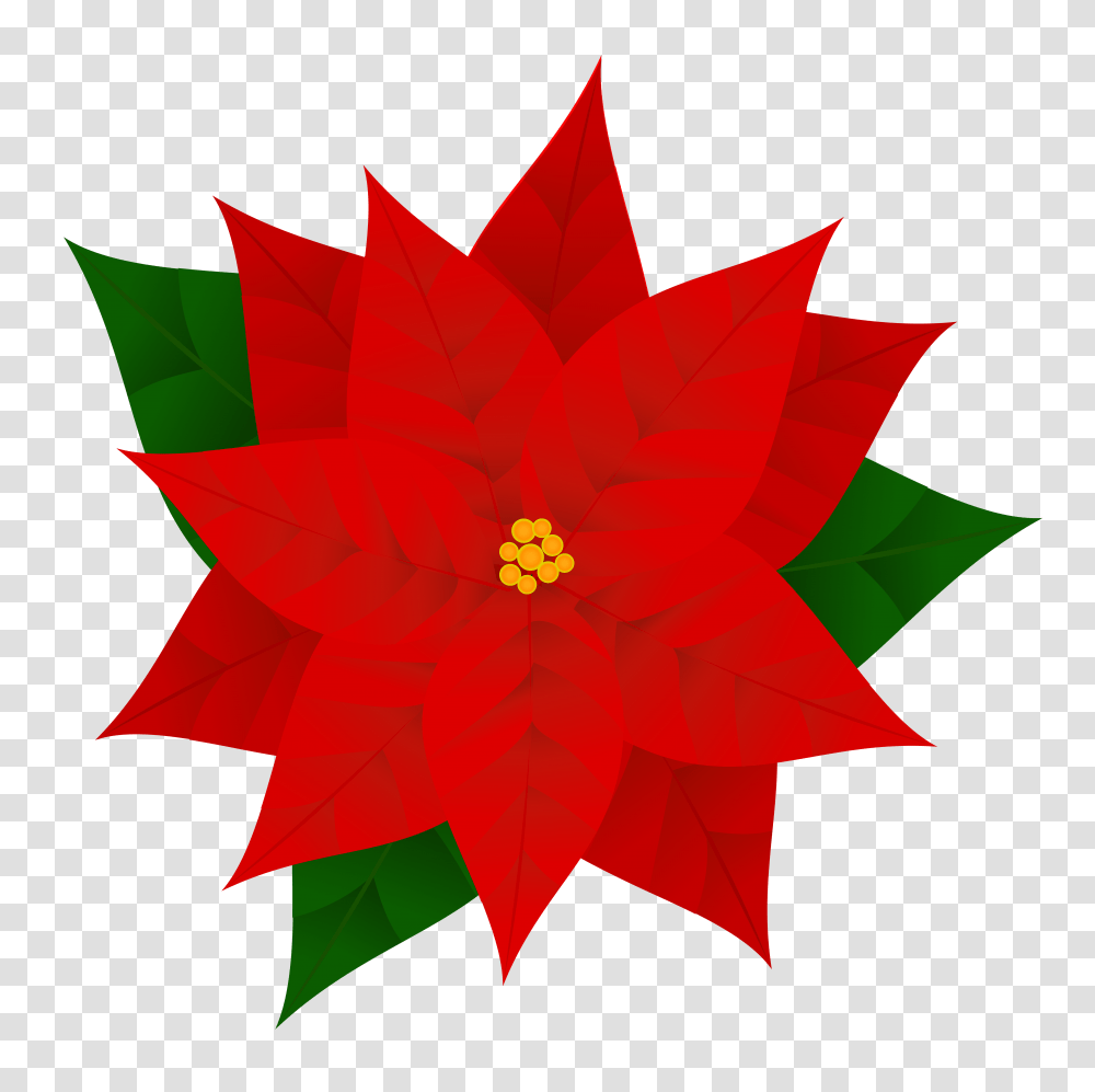 Poinsettia Clipart, Leaf, Plant, Star Symbol Transparent Png