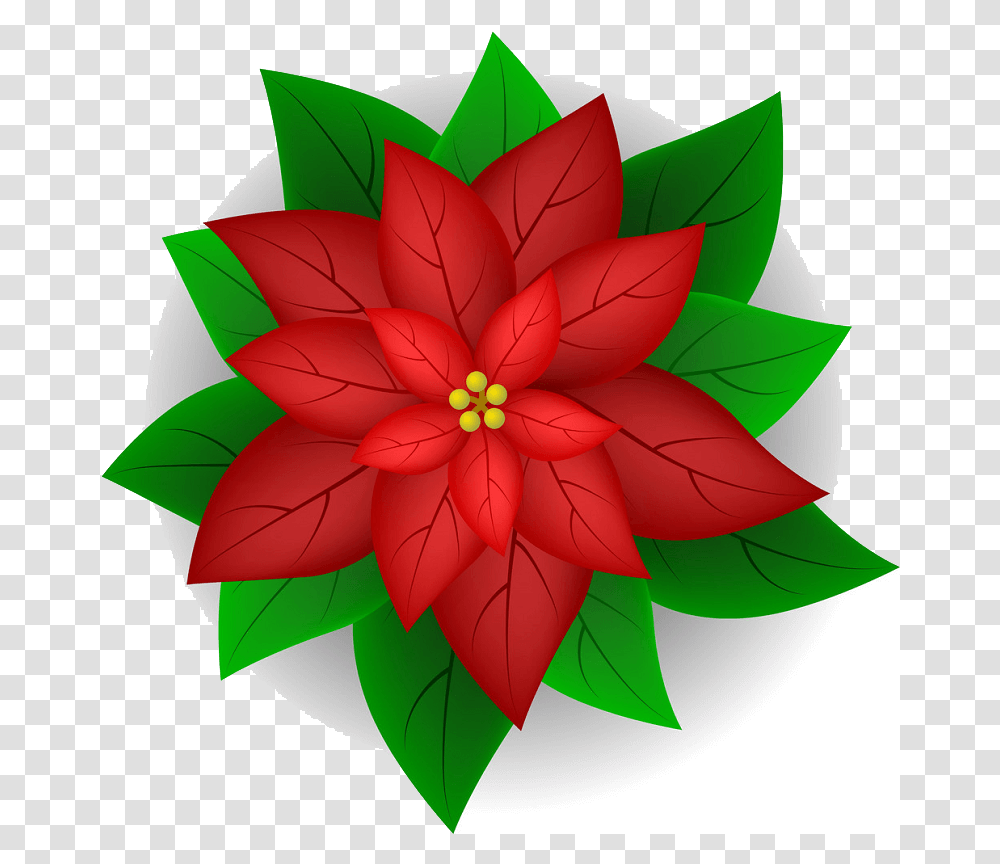 Poinsettia Clipart Poinsettia Flower Vector, Leaf, Plant, Pattern, Ornament Transparent Png