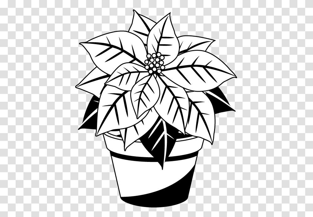 Poinsettia Cliparts Free Poinsettia Black And White, Star Symbol, Stencil Transparent Png