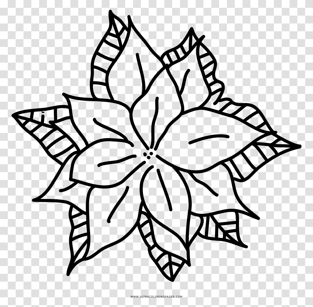 Poinsettia Coloring, Gray, World Of Warcraft Transparent Png