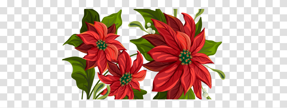 Poinsettia Drawing 600x315 Clipart Download Christmas Flower Background, Dahlia, Plant, Graphics, Floral Design Transparent Png