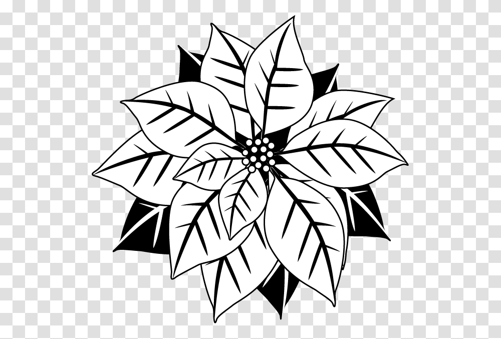 Poinsettia Drawing, Pattern, Floral Design Transparent Png