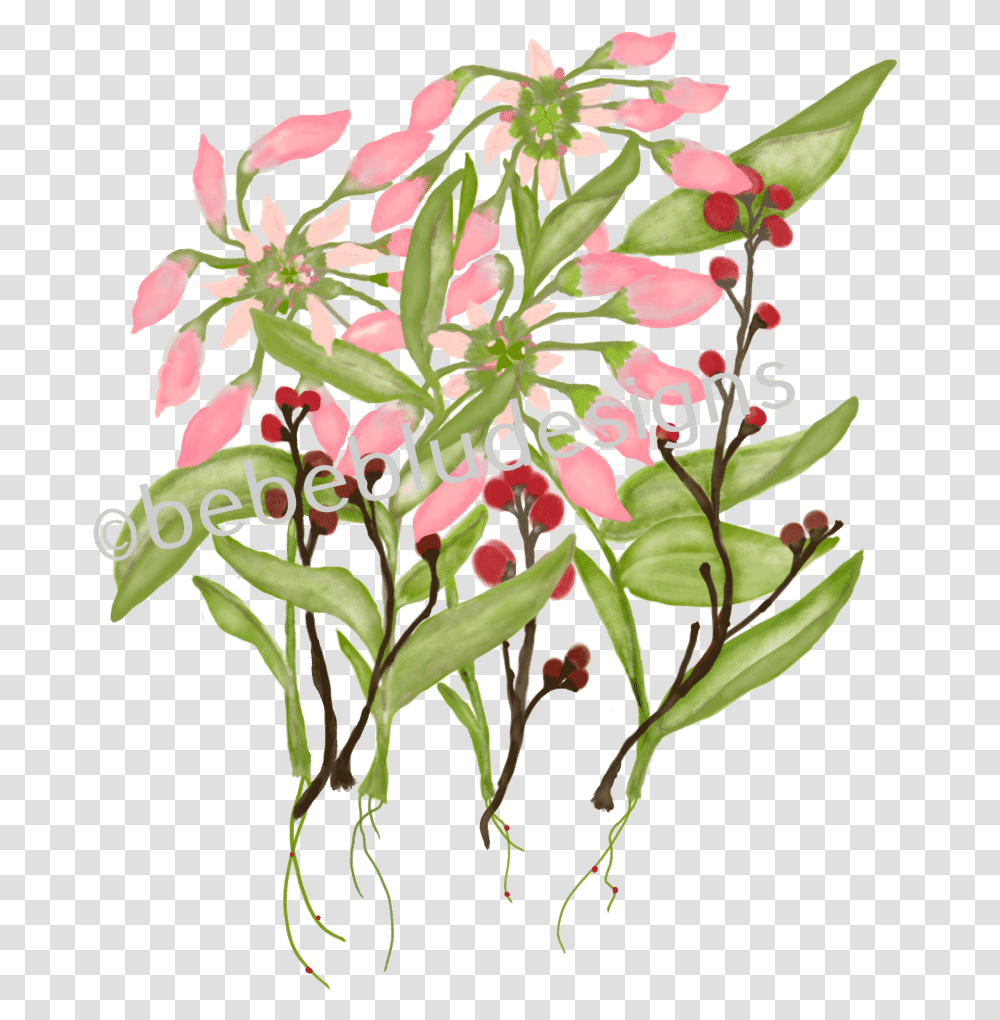 Poinsettia In Bud With Berries Clipart Download Daphne, Plant, Flower, Blossom, Flower Arrangement Transparent Png