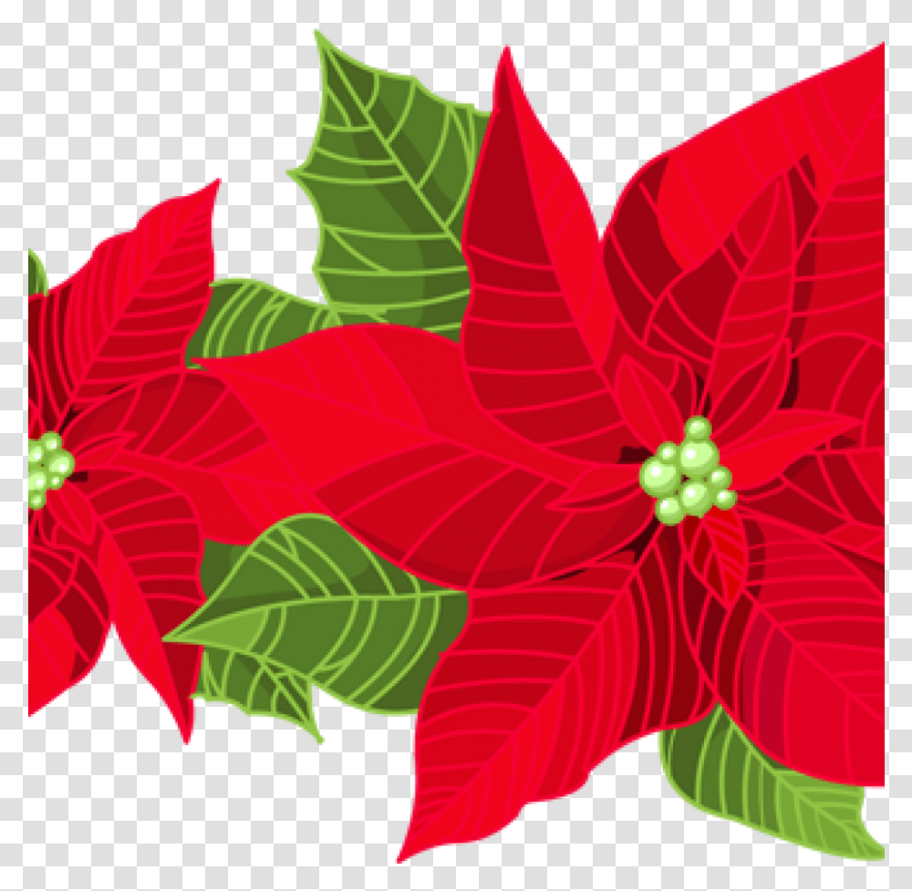 Poinsettia, Leaf, Plant, Pattern, Floral Design Transparent Png