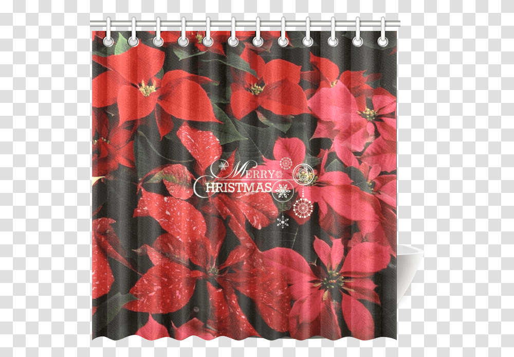 Poinsettia Merry Christmas Shower Curtain 69 Transparent Png