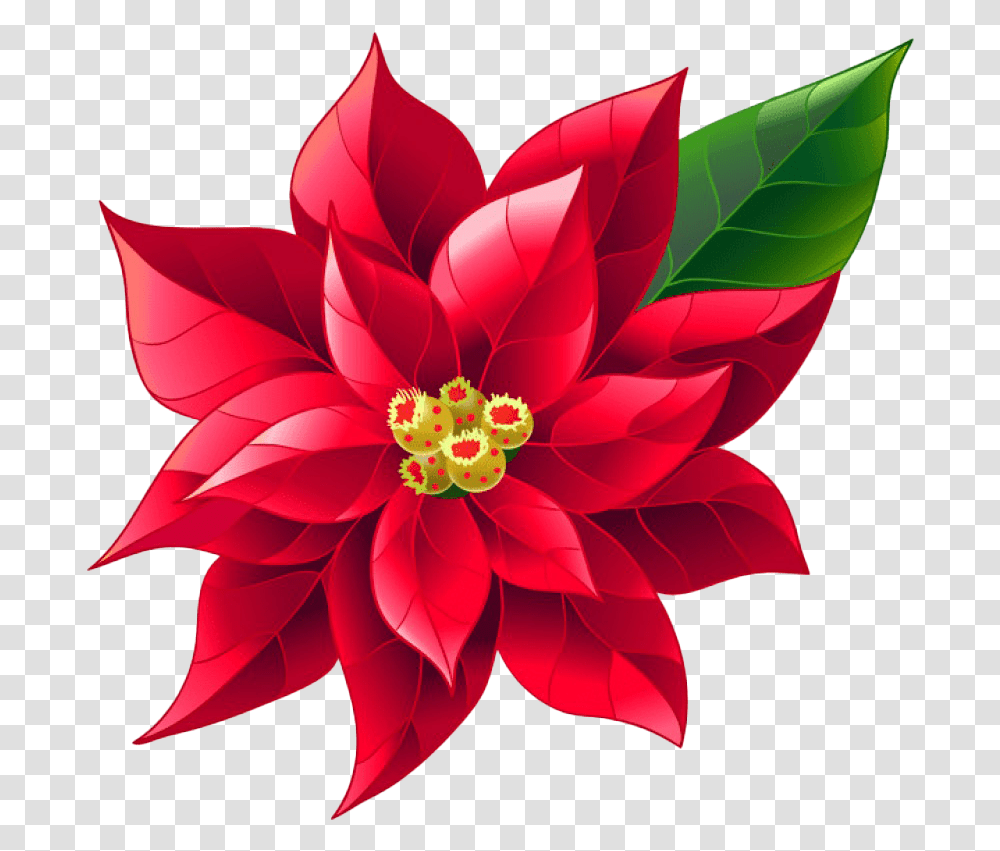 Poinsettia Photo Background Poinsettia Clipart, Dahlia, Flower, Plant, Blossom Transparent Png