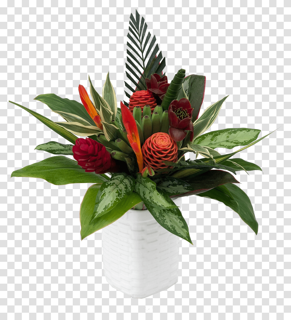 Poinsettia, Plant, Flower, Blossom, Flower Arrangement Transparent Png