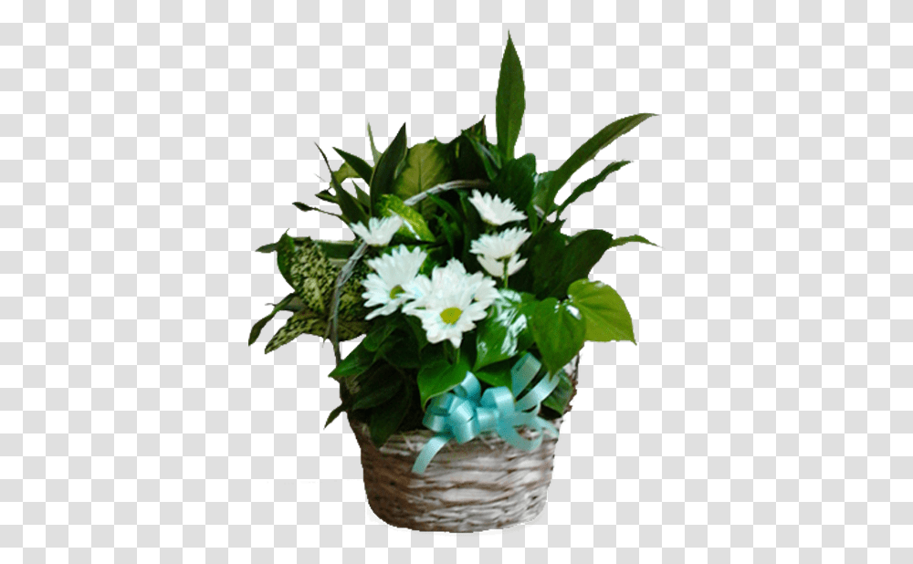 Poinsettia, Plant, Flower Bouquet, Flower Arrangement, Blossom Transparent Png