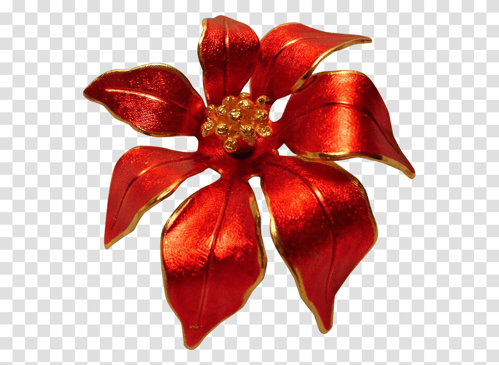 Poinsettia, Plant, Petal, Flower, Blossom Transparent Png