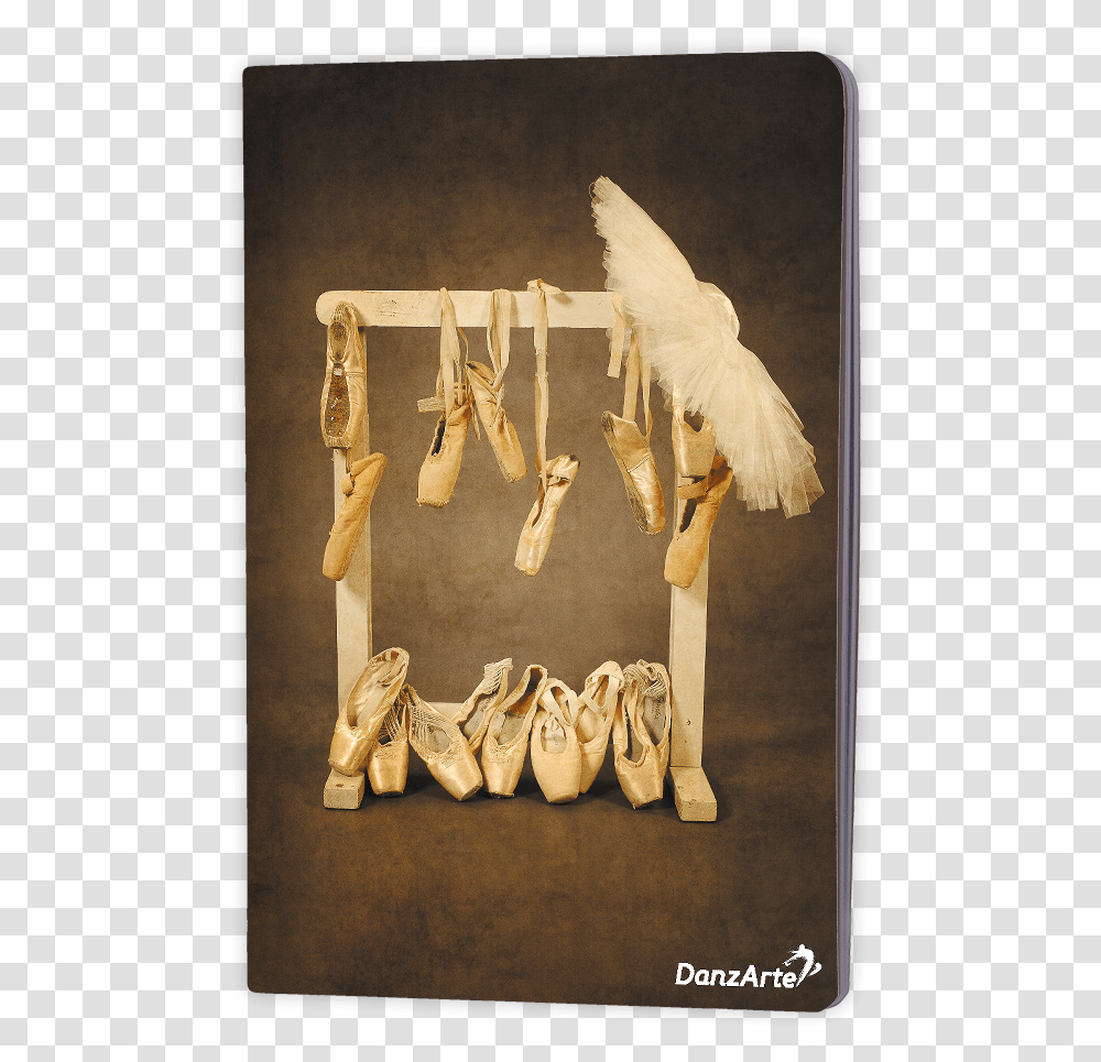 Pointe Shoes, Wood, Bird, Animal, Painting Transparent Png