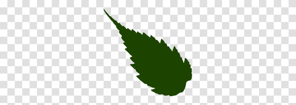 Pointed Leaf Clip Art, Plant, Aloe, Animal, Flower Transparent Png