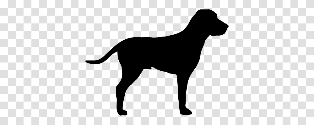 Pointer Animals, Gray, World Of Warcraft Transparent Png