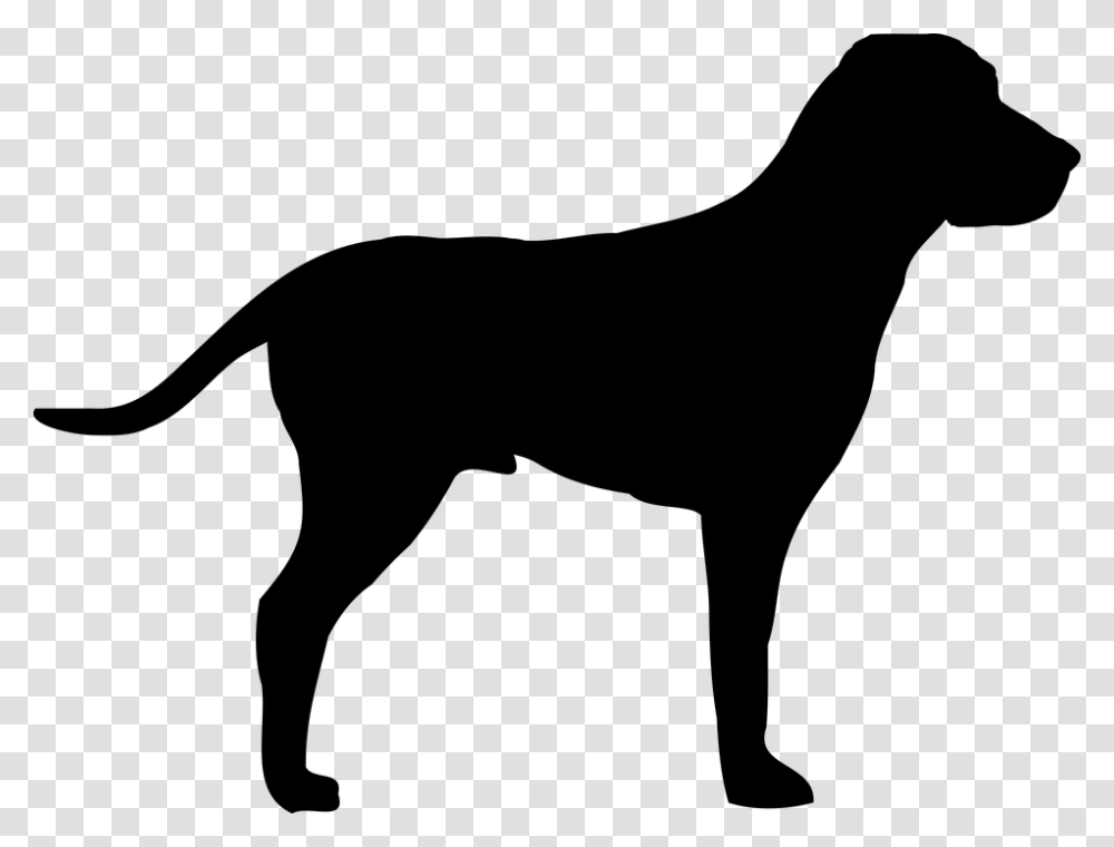 Pointer Dog Doggy Outline Animal Coat Shape Dogs Black Shape, Gray, World Of Warcraft Transparent Png