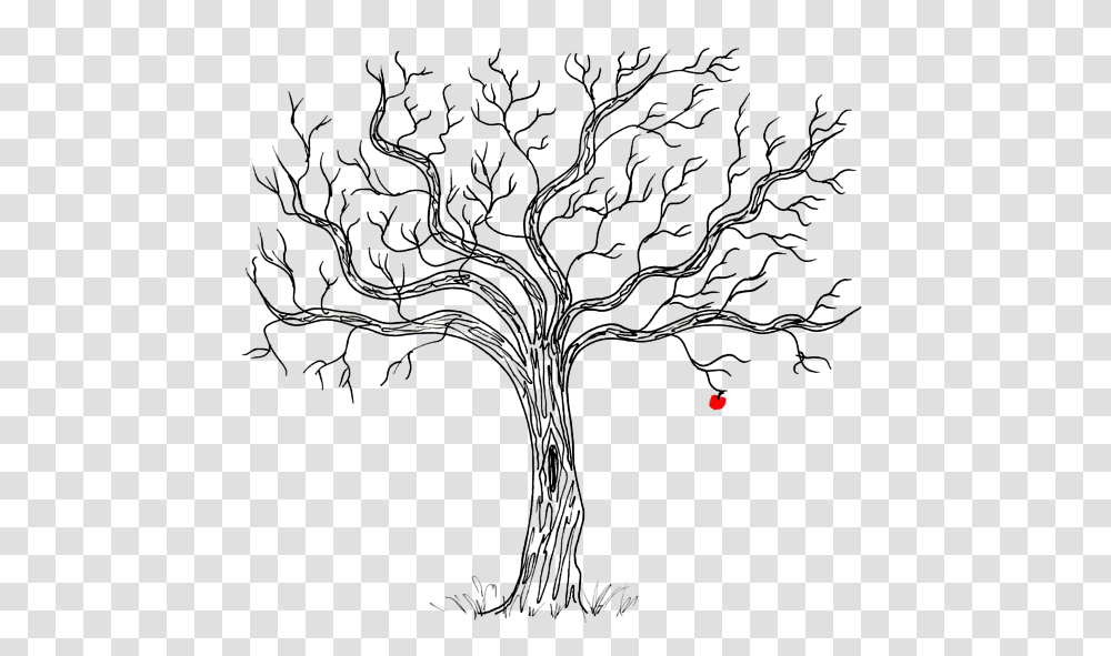 Poison Apple Tree Drawings, Plant, Tree Trunk, Flower, Blossom Transparent Png