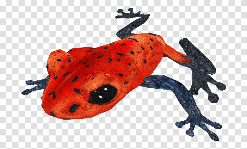 Poison Dart Frog, Amphibian, Wildlife, Animal, Toad Transparent Png