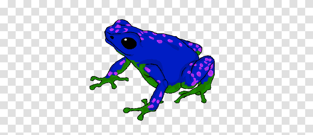 Poison Dart Frog Images, Amphibian, Wildlife, Animal, Toad Transparent Png