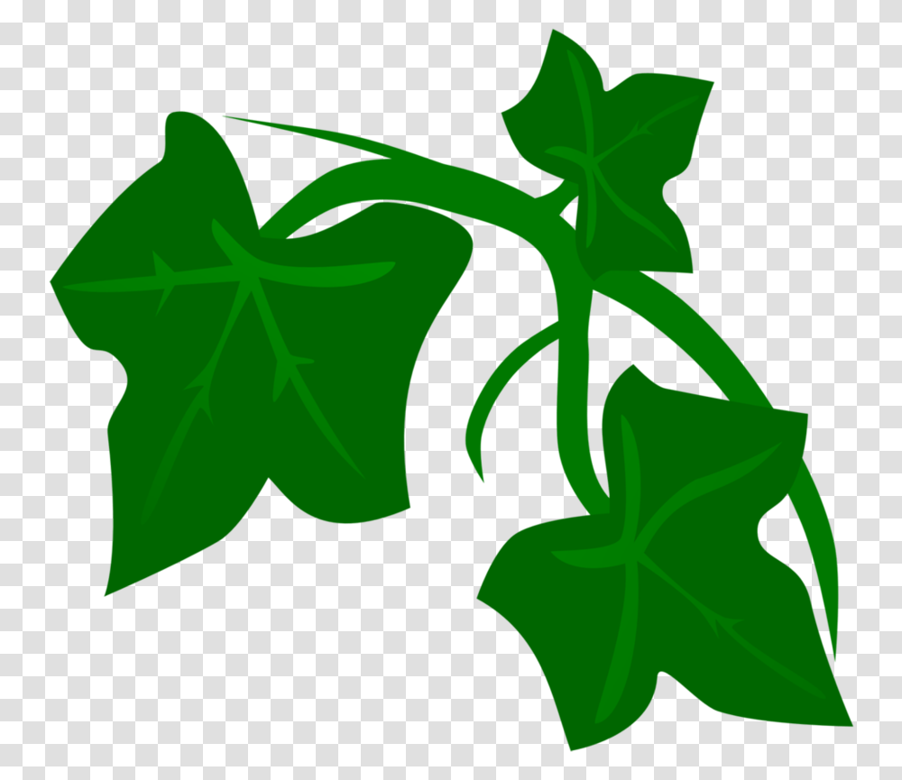 Poison Ivy Plant, Leaf, Green, Vine Transparent Png