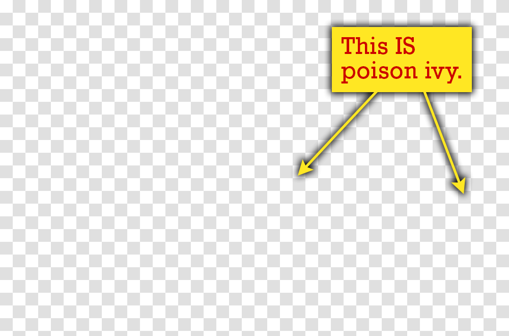 Poison Ivy Quiz The Poison Ivy Poison Oak Poison Sumac Site, Logo, Trademark Transparent Png