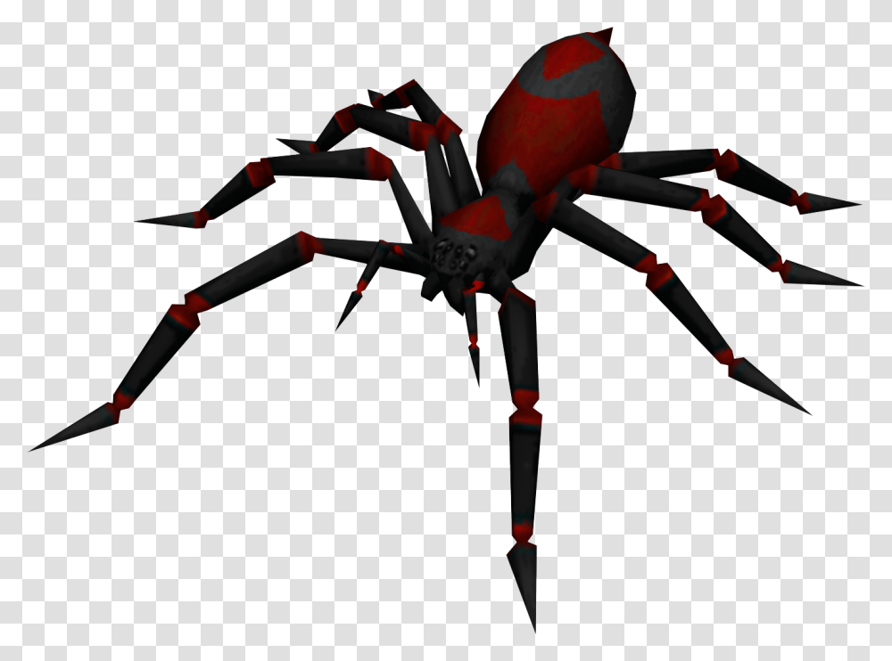 Poison Spider Clipart, Invertebrate, Animal, Arachnid, Insect Transparent Png