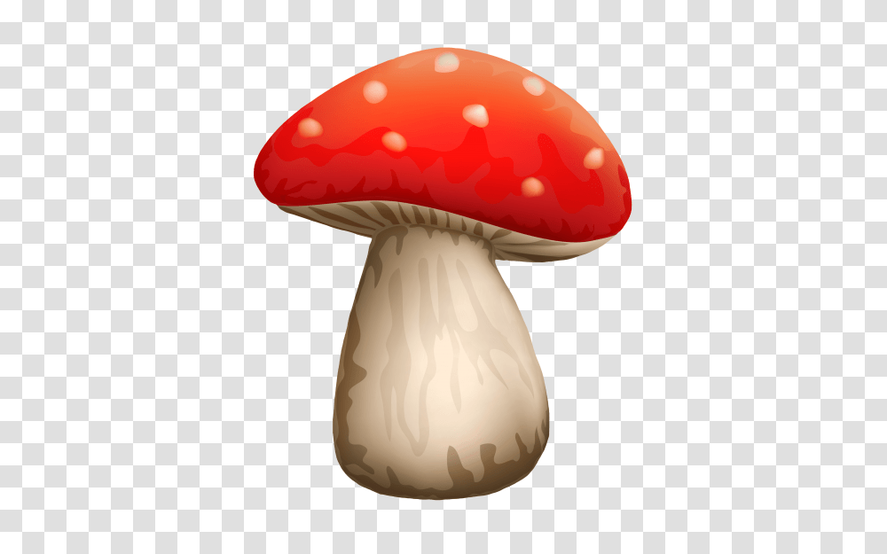 Poisonous Red Mushroom With White Dots, Plant, Agaric, Fungus, Amanita Transparent Png