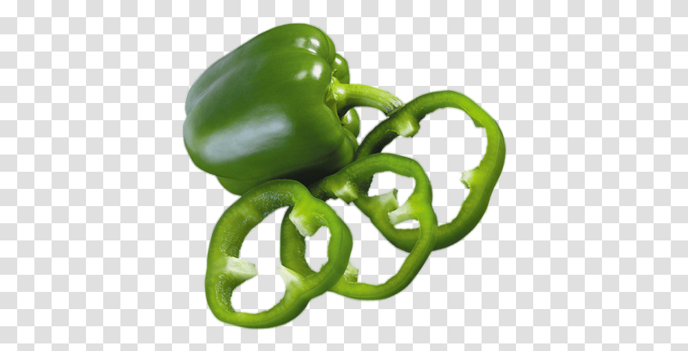 Poivron Vert Habanero Chili, Plant, Pepper, Vegetable, Food Transparent Png