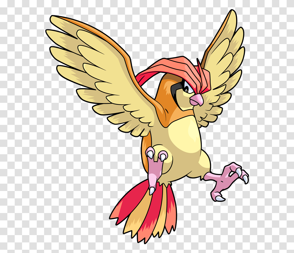 Pokemon 2017 Shiny Pidgeotto Pokedex Pidgeotto, Animal, Bird, Flying, Finch Transparent Png