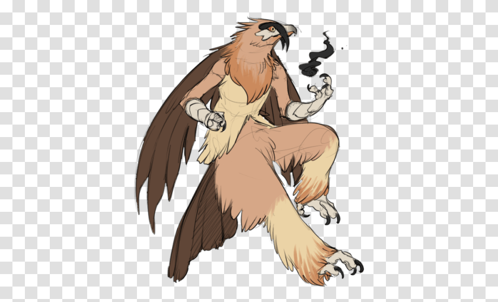 Pokemon My Art Blaziken Subspecies I Actually Have A Bearded Vulture Pokemon, Animal, Mammal, Person, Wildlife Transparent Png