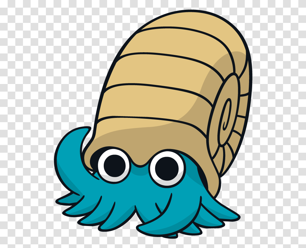 Pokemon Omanyte, Helmet, Apparel, Animal Transparent Png