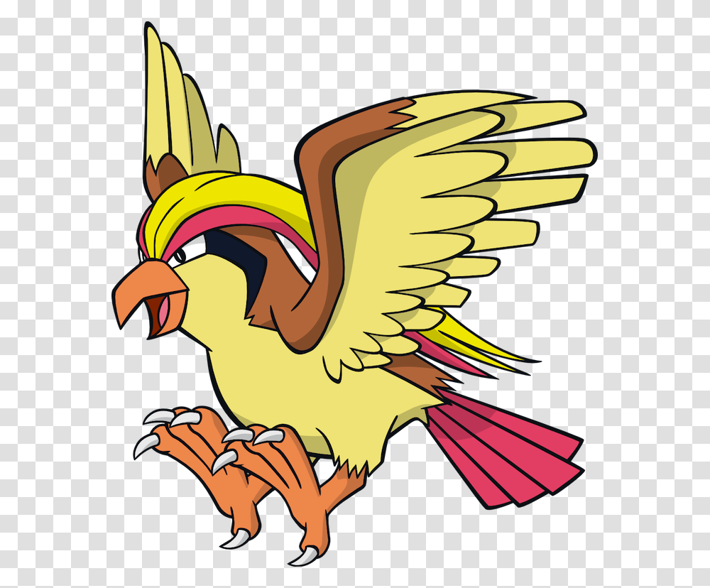 Pokemon Pidgeot, Bird, Animal Transparent Png