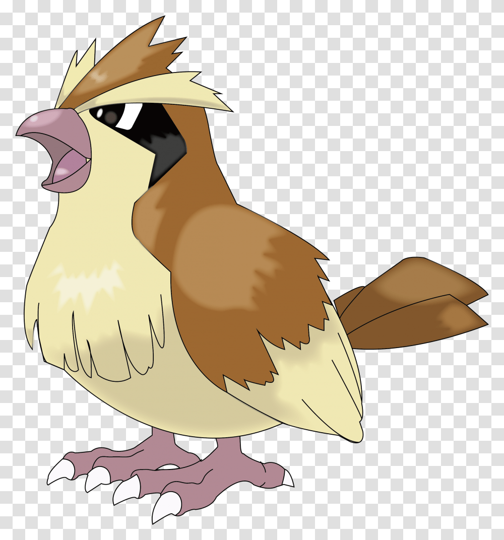 Pokemon Pidgey Image With Pokemon Pidgey, Axe, Tool, Bird, Animal Transparent Png