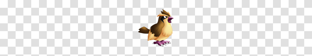 Pokemon Pidgey Pokedex Evolution Moves Location Stats, Angry Birds, Person, Human Transparent Png